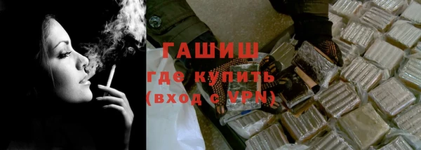 индика Ростов