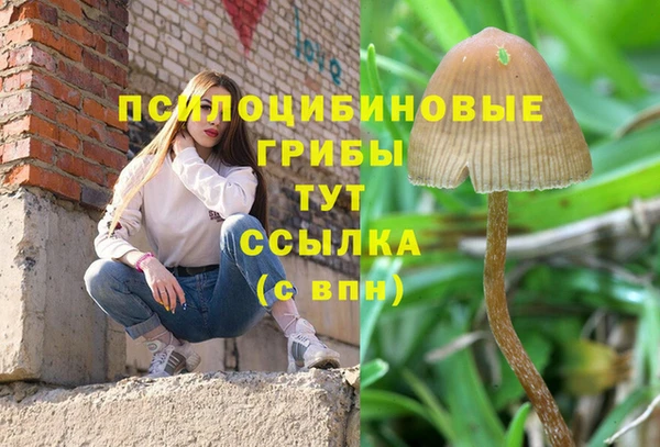 индика Ростов