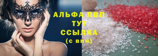 индика Ростов