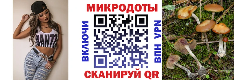 продажа наркотиков Велиж Псилоцибиновые грибы GOLDEN TEACHER